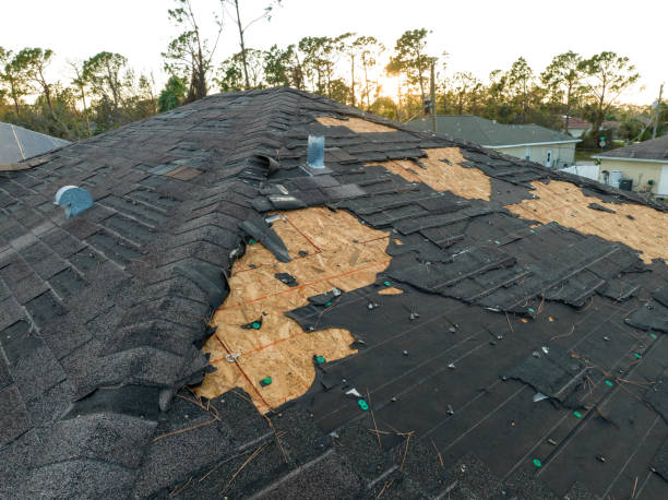 Best Roof Maintenance and Cleaning  in Port Aransas, TX