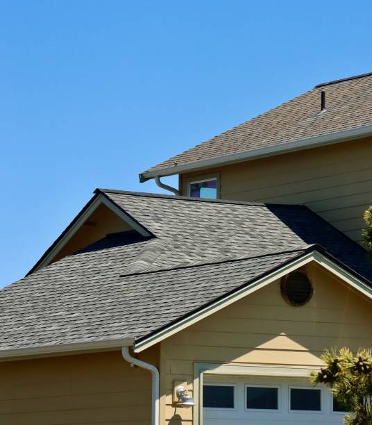 Best Roof Moss and Algae Removal  in Port Aransas, TX